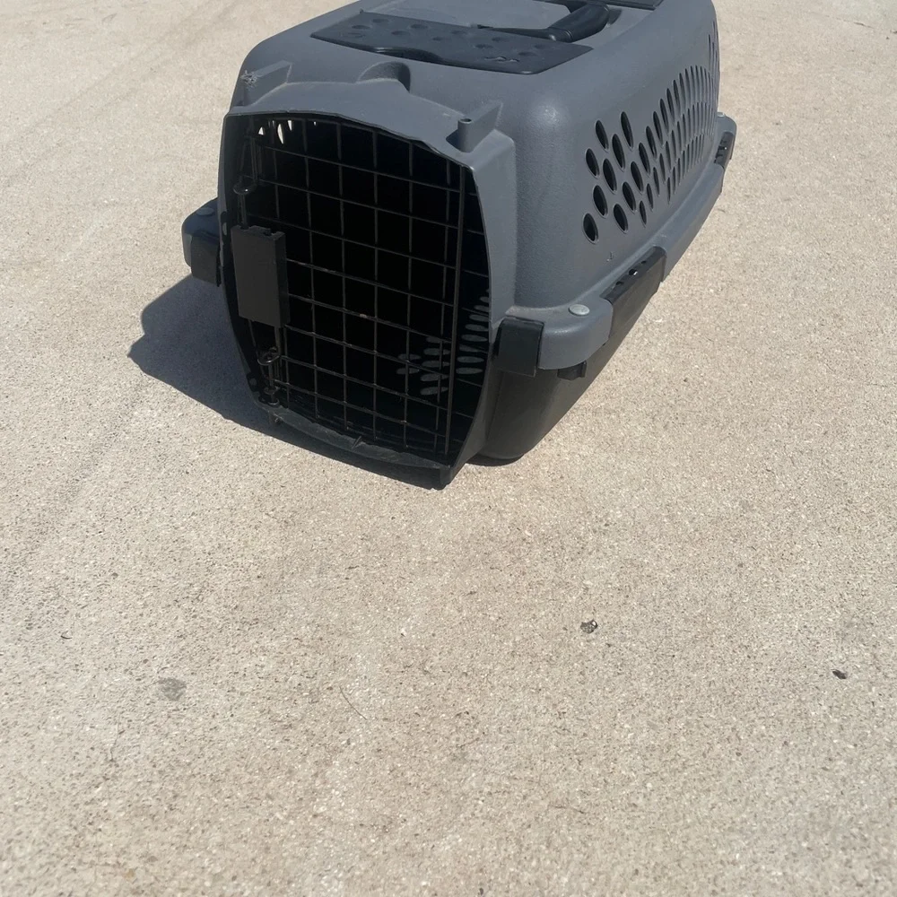 Puppy or car carrier